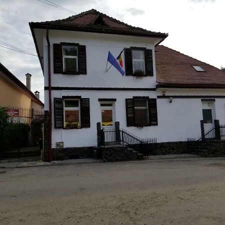 Pensiunea Liana Nemsa Екстериор снимка