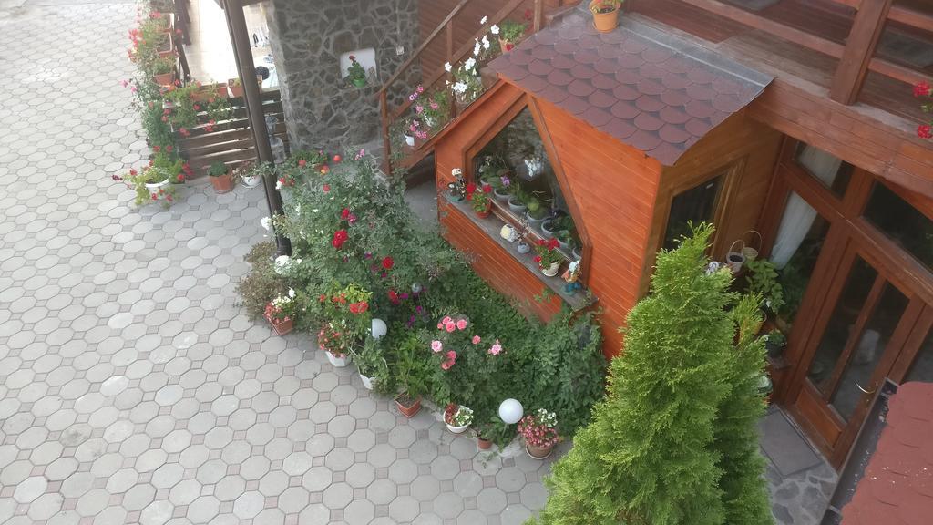 Pensiunea Liana Nemsa Екстериор снимка