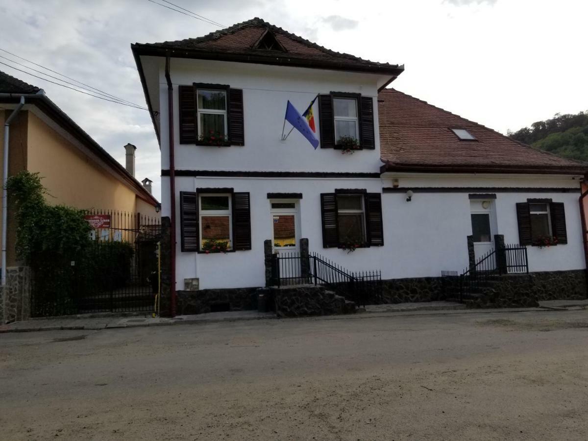 Pensiunea Liana Nemsa Екстериор снимка