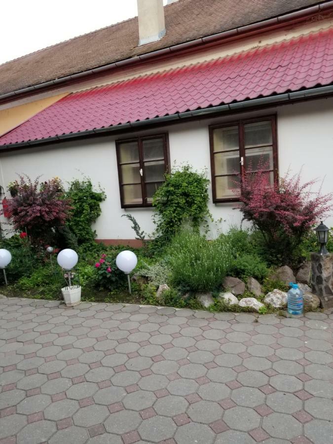 Pensiunea Liana Nemsa Екстериор снимка